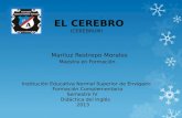 Institución Educativa Normal Superior de Envigado Formación Complementaria Semestre IV Didáctica del Inglés 2013 Mariluz Restrepo Morales Maestra en Formación.