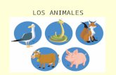 LOS ANIMALES. ANIMALES DOMÉSTICOS Algunos animales viven cerca de nosotros…