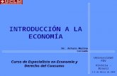 INTRODUCCIÓN A LA ECONOMÍA Curso de Especialista en Economía y Derecho del Consumo Universidad FDV Vitória - Brasil 3-6 de Marzo de 2008 Dr. Arturo Molina.