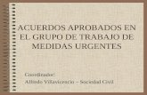 ACUERDOS APROBADOS EN EL GRUPO DE TRABAJO DE MEDIDAS URGENTES Coordinador: Alfredo Villavicencio – Sociedad Civil.