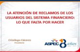 Crisólogo Cáceres Presidente. PRINCIPALES MATERIAS DE RECLAMO Sectores más reclamados Omisión de información Cláusulas abusivas Cargos de seguro no solicitado