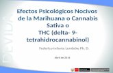 Abril de 2014 Efectos Psicológicos Nocivos de la Marihuana o Cannabis Sativa o THC (delta- 9- tetrahidrocannabinol) Federico Infante Lembcke Ph. D.