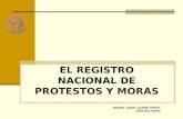 EL REGISTRO NACIONAL DE PROTESTOS Y MORAS MIGUEL ANGEL GARRO CERNA JEFE DEL RNPM.