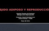 Hospital Ángeles del Pedregal Biología de la Reproducción Presenta: Nayeli Martínez Cruz Endocrinología / R1BR Mayo del 2011.