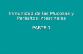 Inmunidad de las Mucosas y Parásitos Intestinales PARTE 1.