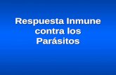 Respuesta Inmune contra los Parásitos. Carácterísticas relevantes de las parasitosis por protozoarios y helmintos Complejidad genómica mayor que virus.