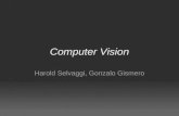 Computer Vision Harold Selvaggi, Gonzalo Gismero.