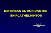 DEFENSAS ANTIOXIDANTES EN PLATHELMINTOS EN PLATHELMINTOS Curso de Biología Parasitaria 2007.