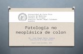 Patología no neoplásica de colon Dr. José Ángel Ortiz Cubero Especialista en Cirugía General Jueves 8 de noviembre, 2012 Universidad de Costa Rica Escuela.