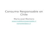 Consumo Responsable en Chile María José Montero  mjmonter@puc.cl.