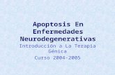 Apoptosis En Enfermedades Neurodegenerativas Introducción a La Terapia Génica Curso 2004-2005.