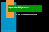 M.v.z. oscar oliveros belmont Aparato Digestivo..