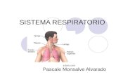 SISTEMA RESPIRATORIO Pascale Monsalve Alvarado. Sistema Respiratorio Las células del organismo para poder aprovechar las sustancias energéticas a modo.