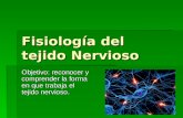 Fisiología del tejido Nervioso Objetivo: reconocer y comprender la forma en que trabaja el tejido nervioso.