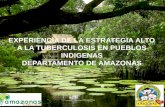 EXPERIENCIA DE LA ESTRATEGIA ALTO A LA TUBERCULOSIS EN PUEBLOS INDIGENAS DEPARTAMENTO DE AMAZONAS.