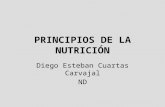 PRINCIPIOS DE LA NUTRICIÓN Diego Esteban Cuartas Carvajal ND.