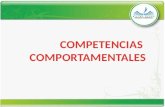 COMPETENCIAS COMPORTAMENTALES AUTOEFICACIA INTERACCIÓN SOCIAL ADAPTACIÓN AL AMBIENTE ESCOLAR Motivación al Logro Responsabilidad Orientación a las labores.