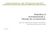 Laboratorio de Programación Práctica 3 Entrada/Salida y Manejo de excepciones Dpto. de Ingeniería de Sistemas Telemáticos lprg