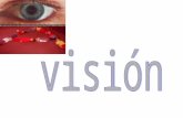 Una Visión Proporciona un Propósito y un Sentido de Misión Un objetivo ambicioso y retador. Una visión es una esperanza, una meta, un sueño; ella incorpora.