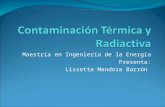 Maestría en Ingeniería de la Energía Presenta: Lissette Mendoza Barrón.
