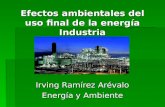 Efectos ambientales del uso final de la energía Industria Irving Ramírez Arévalo Energía y Ambiente.