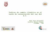 Índices de cambio climático en el suelo de conservación del sur del D.F. Raúl Vera Alejandre Aurelio Bernal Campos CIIEMAD - IPN.