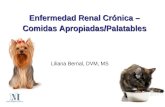Enfermedad Renal Crónica – Comidas Apropiadas/Palatables Liliana Bernal, DVM, MS.
