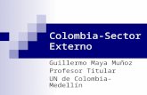 Colombia-Sector Externo Guillermo Maya Muñoz Profesor Titular UN de Colombia-Medellín.
