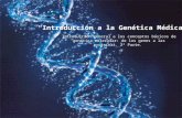 Introducción a la Genética Médica" Introducción general a los conceptos básicos de genética molecular: de los genes a las proteínas. 2ª Parte.