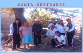 La localidad de Santa Gertrudis Salitrillo está situado en el Municipio de Petlalcingo (en el Estado de Puebla).
