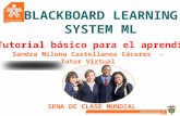 SENA DE CLASE MUNDIAL BLACKBOARD LEARNING SYSTEM ML Sandra Milena Castellanos Cáceres - Tutor Virtual.