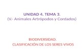 UNIDAD 4. TEMA 3. (V.- Animales Artrópodos y Cordados) BIODIVERSIDAD. CLASIFICACIÓN DE LOS SERES VIVOS.