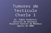 Tumores de Testículo Charla 1 Dr. Pablo Valentini Servicio de Urología Hospital Central de Mendoza Agosto de 2008.