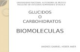 GLUCIDOS O CARBOHIDRATOS BIOMOLECULAS ANDRES GABRIEL HEBER ANER UNIVERSIDAD NACIONAL AUTONOMA DE MEXICO FACULTAD DE ESTUDIOS SUPERIORES IZTACALA.