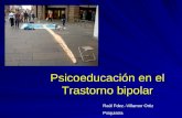 Psicoeducación en el Trastorno bipolar Raúl Fdez.-Villamor Ortiz Psiquiatra.
