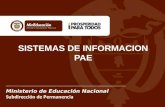 Ministerio de Educación Nacional Subdirección de Permanencia SISTEMAS DE INFORMACION PAE.