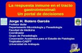 La respuesta inmune en el tracto gastrointestinal: Un portal de decisiones Jorge H. Botero Garcés Profesor titular Departamento Microbiología y Parasitología.