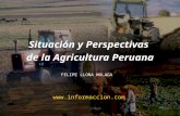 Situación y Perspectivas de la Agricultura Peruana FELIPE LLONA MALAGA .