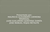 Presentado por: MAURICIO ALEXANDER CARMONA MADRIGAL JUAN GUILLERMO QUINTANA ZAPATA JOSE MANUEL ROJAS METAUTE.