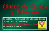 Hospital Municipal de Vicente López ¨Prof. Dr. B. Houssay ¨ Servicio de Ginecología y Mastología Dr. Osvaldo G. Sánchez.