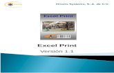 Onuris Systems, S. A. de C.V. Excel Print Versión 1.1.