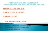 UNIVERSIDAD CATOLICA AUTONOMA DE NICARAGUA-UCAN MÚSCULOS DE LA CARA Y EL CUERO CABELLUDO Dra. Irela Victoria Larios Velasquez Medico Pediatra, UNAN-LEON.