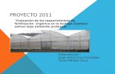 PROYECTO 2011 “Evaluación de los requerimientos de fertilización orgánica en la lechuga (Lactuca sativa) bajo ambiente protegido Elaborado por : Jorge.