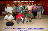 PGC – Indígena: Componente Social AVAR Indígena RAAN.