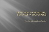 Cat. Op. Identidades Culturales.  Los derechos de Segunda Generación o Derechos Económicos, Sociales y Culturales son lo que persiguen el bienestar social.