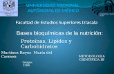 Martínez Reyes María del Carmen Facultad de Estudios Superiores Iztacala METODOLOGÍA CIENTÍFICA III Bases bioquímicas de la nutrición: Grupo: 1306 Proteínas,