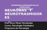 NEURONAS Y NEUROTRASMISORES Prof. Alice Pérez Fernández Curso: Psicología Fisiológica Programa de Psicología Prof. Alice Pérez Fernández Curso: Psicología.
