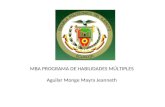 MBA PROGRAMA DE HABILIDADES MÚLTIPLES Aguilar Monge Mayra Jeanneth.