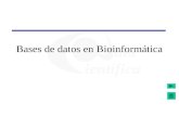 Bases de datos en Bioinformática. Introducción a la Bioinformática2 Contenidos 1.La bioinformática y las bases de datosLa bioinformática y las bases de.
