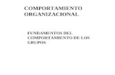 COMPORTAMIENTO ORGANIZACIONAL FUNDAMENTOS DEL COMPORTAMIENTO DE LOS GRUPOS.